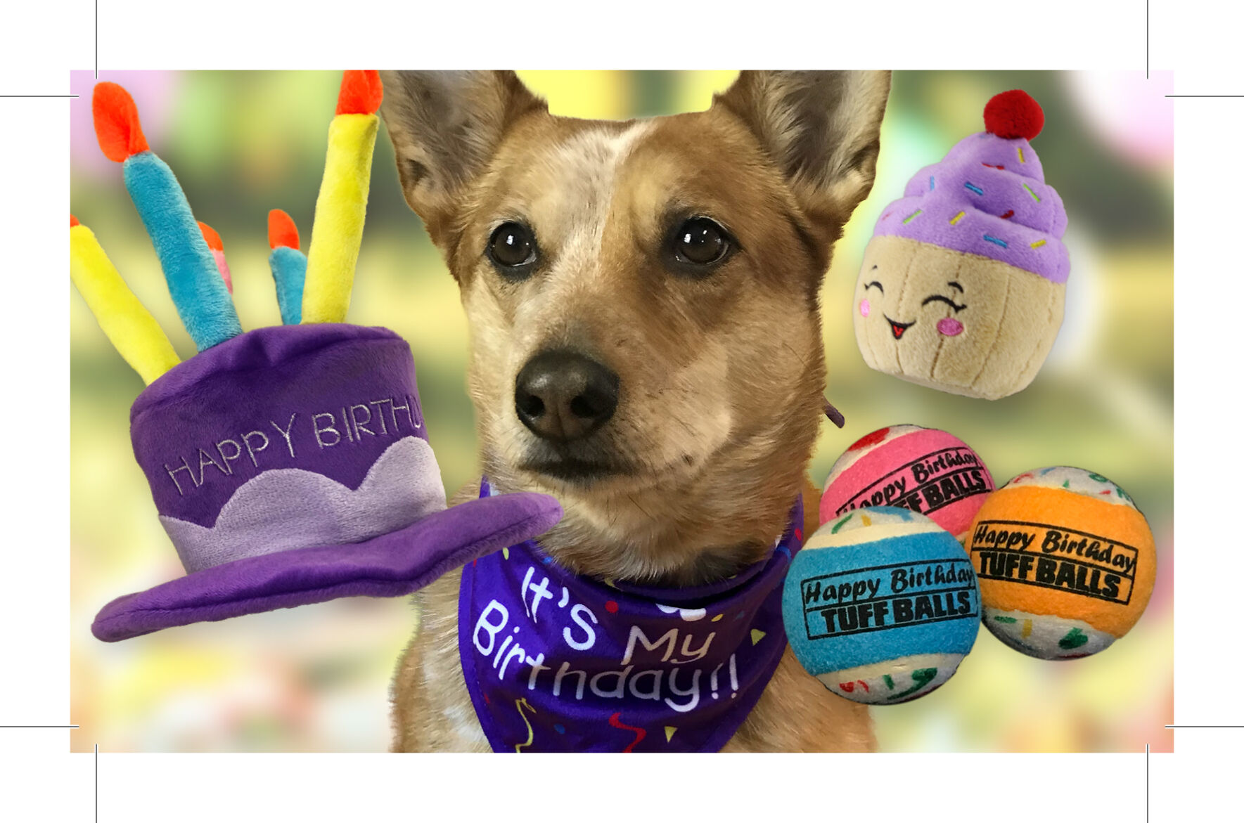 PPN EC HBD